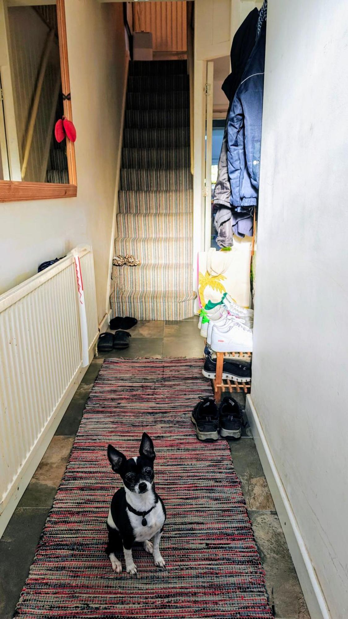 Headington Haven Homestay Oxford Exteriör bild